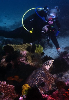 Leslie and turtle